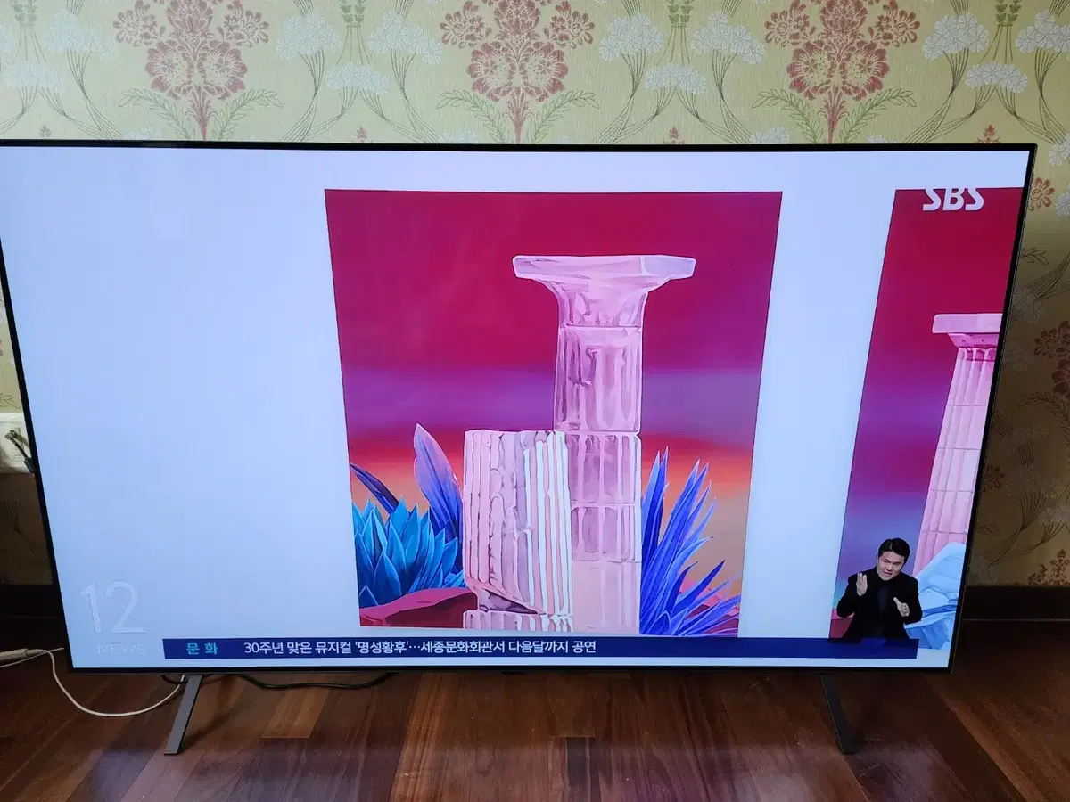 LG OLED TV 65인치 스탠드형